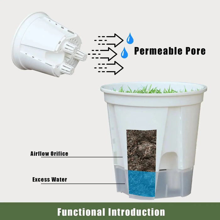 Elegant Semi-Transparent Resin Self-Watering Planter for Succulents and Hydroponics