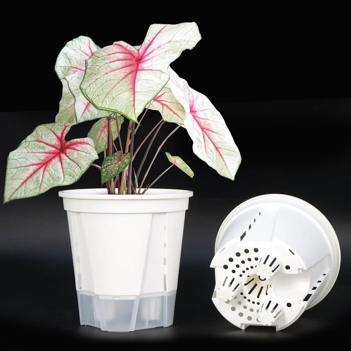 Elegant Resin Self-Watering Flower Pots for Succulents and Hydroponics - Modern Design for Indoor and Outdoor Use