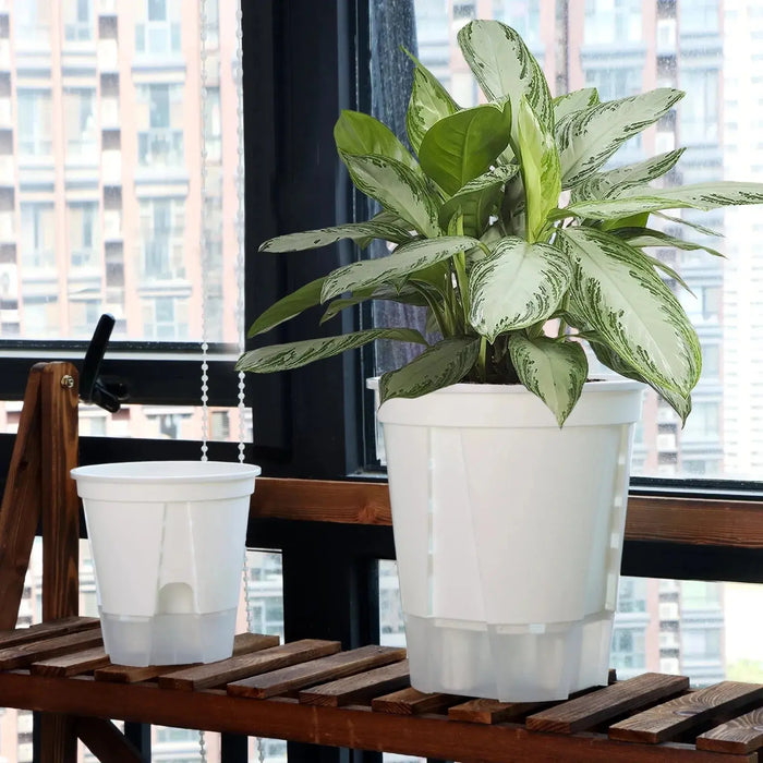 Elegant Semi-Transparent Resin Self-Watering Planter for Succulents and Hydroponics