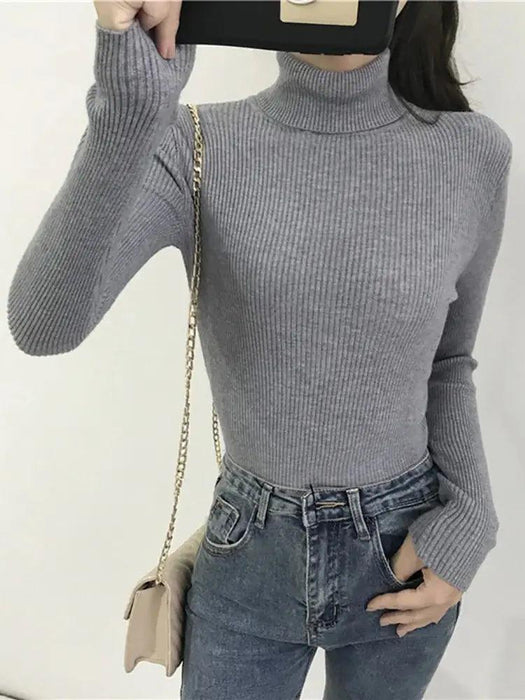 Turtleneck Sweater Womens 2024 Autumn Winter Tops Korean Slim Women Pullover Jumper Knitted Sweater Pull Femme Hiver Truien Turtleneck Sweater Women - Stylish and Cozy  AliExpress Lacatang Shop 