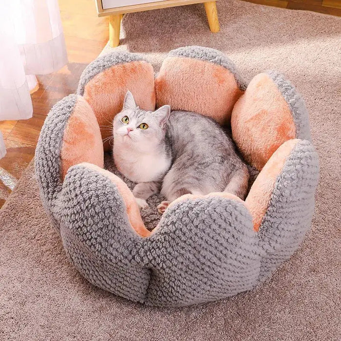 Superidag Comfortable Pet Bed from Cactus Shape 

Experience Ultimate Comfort with Superidag Cactus Pet Bed - Premium Quality!  Lacatang Shop Lacatang Shop 