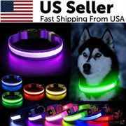 LED Adjustable Dog Collar with Blinking and Flashing Light Modes for Enhanced Pet Safety